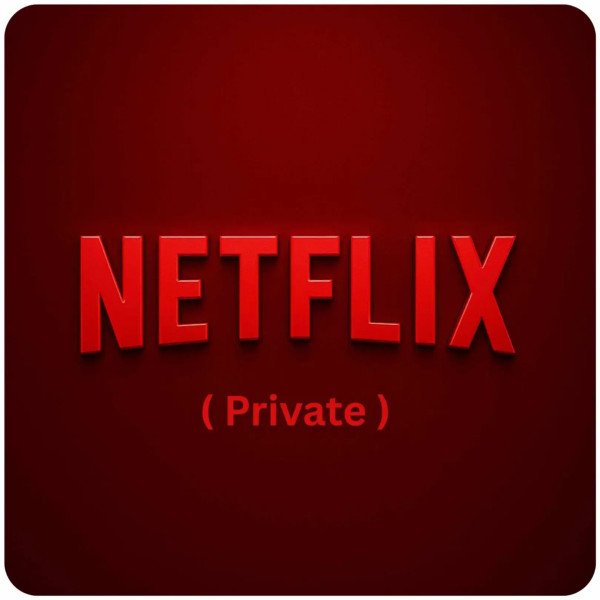 Netflix private pin lock profile